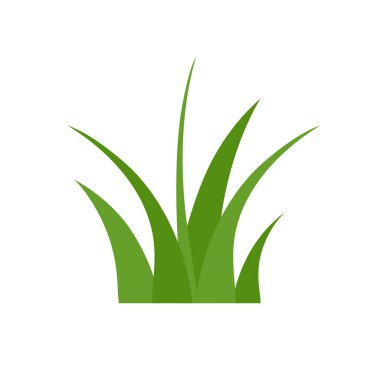 Beyaz Arkaplanda Yeşil Çimen, Çiçekler