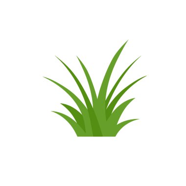 Beyaz Arkaplanda Yeşil Çimen, Çiçekler