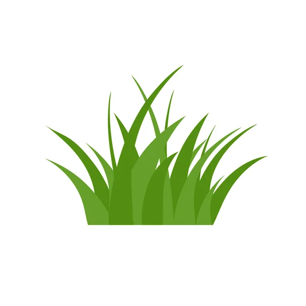 Зеленый Грасс Изолированный Белом Фоне Цветы — стоковый вектор