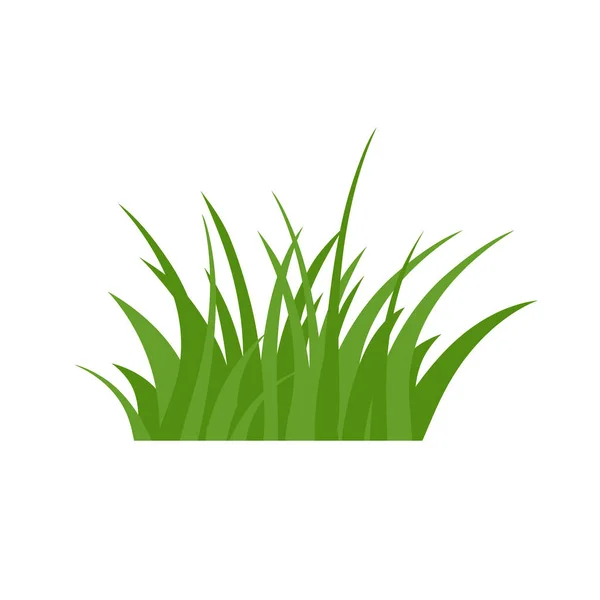 Hierba Verde Aislada Sobre Fondo Blanco Flores — Vector de stock