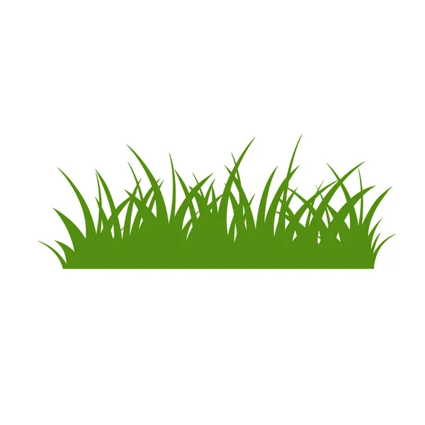 Hierba Verde Aislada Sobre Fondo Blanco Flores — Vector de stock