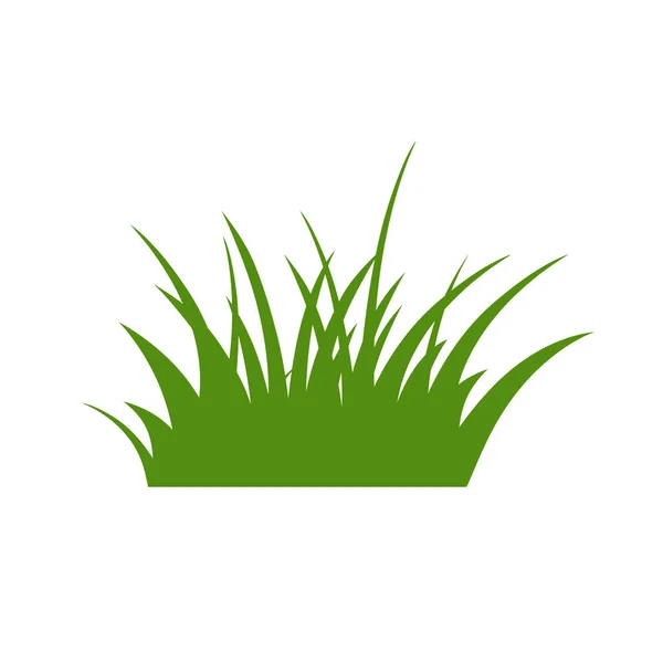 Зеленый Грасс Изолированный Белом Фоне Цветы — стоковый вектор