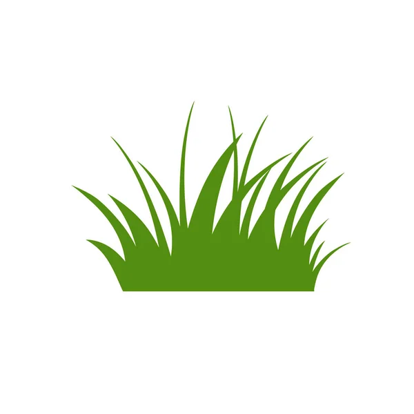 Erba Verde Isolato Sfondo Bianco Fiori — Vettoriale Stock