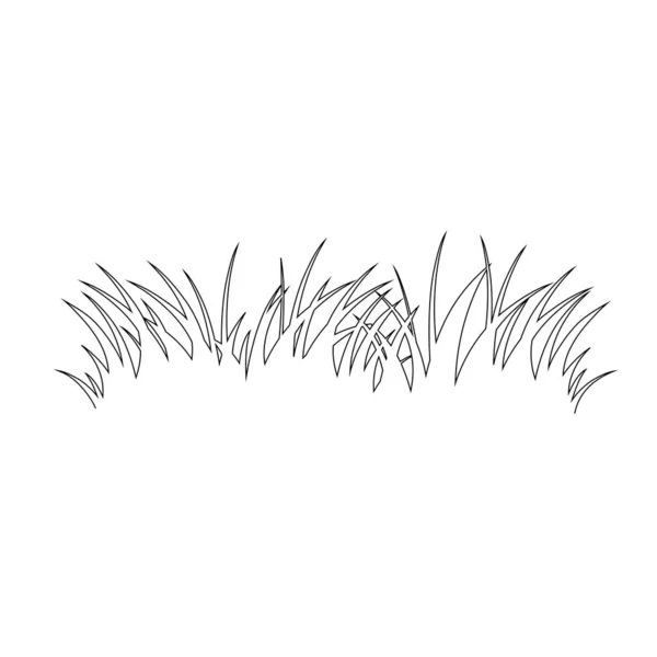 Herbe Verte Isolée Sur Fond Blanc Fleurs — Image vectorielle
