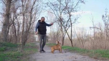 Man Plays with His Dog Outdoors. Funny Dog Hops and Bites Wooden Stick His Owner Holds 4k