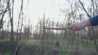 Adam köpeğiyle dışarıda oynuyor. Komik köpek hoplayıp zıplıyor ve sahibine tahta sopa saplıyor. Yavaş Hareket