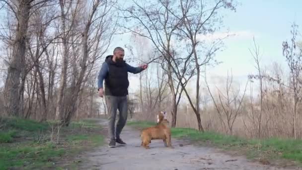 人类和他的狗在外面玩耍 有趣的狗跳和咬木棍他的主人持有4K — 图库视频影像