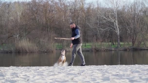 Man Playing His Dog English Bulldog Outdoors River Dog Playful — Stock Video