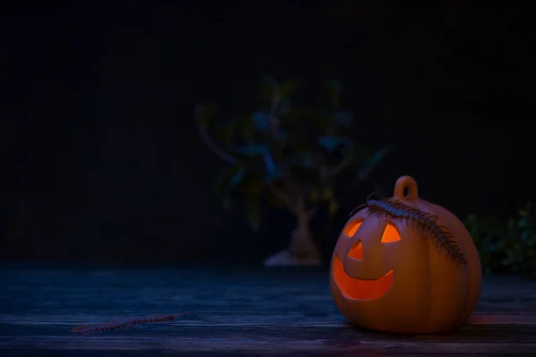 Halloween Hintergrund mit beleuchtetem Kürbis in der Nacht — Stockfoto