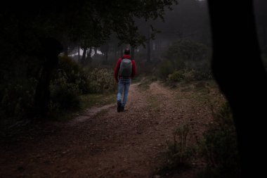 Hiker with red sweatshirt walking through the forest on a foggy day