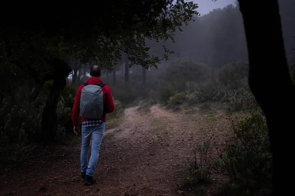 Hiker with red sweatshirt walking through the forest on a foggy day