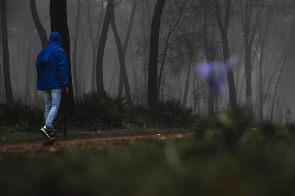 Man with blue raincoat walking through a foggy forest