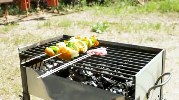 Fare Spiedini Carne Pollo Sul Barbecue — Video Stock