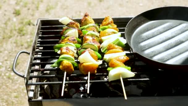 Faire Des Brochettes Viande Poulet Sur Barbecue — Video