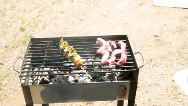 Making Chicken Meat Skewers Barbecue — Stock Video