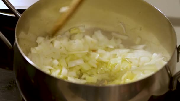 Frying Onion Pot Home — Stock Video