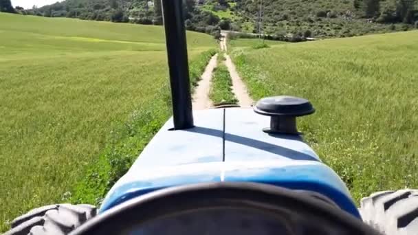蓝色拖拉机在麦田之间的小径上 — 图库视频影像