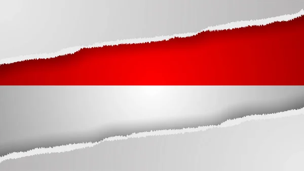 Eps10 Fondo Patriótico Vectorial Con Colores Bandera Indonesia Elemento Impacto — Vector de stock