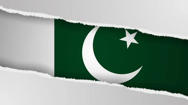 Pakistan Bayrak Renklerine Sahip Eps10 Vatansever Geçmişi Kullanmak Istediğiniz Etki — Stok Vektör