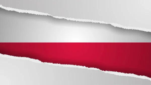 Eps10 Wektor Patriotyczne Tło Flagą Polski Kolory Element Wpływu Wykorzystanie — Wektor stockowy