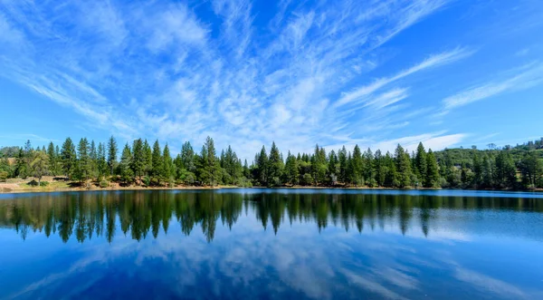 Красивый Живописный Вид Озеро Тахед Окружении Сосен Кедров Красивым Голубым Стоковая Картинка