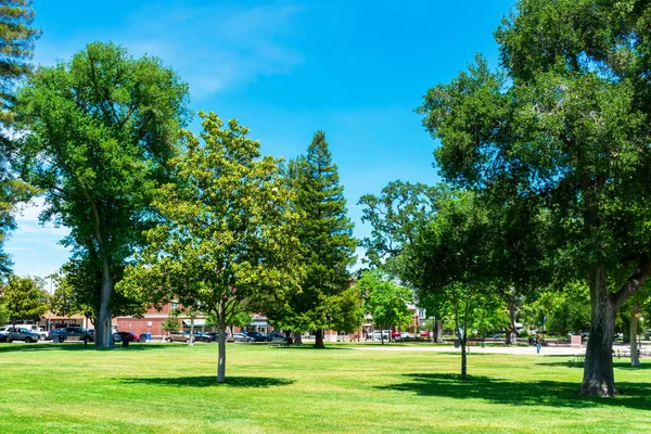 Malerischer Blick Auf Grüne Bäume Und Gras Downtown City Park — Stockfoto