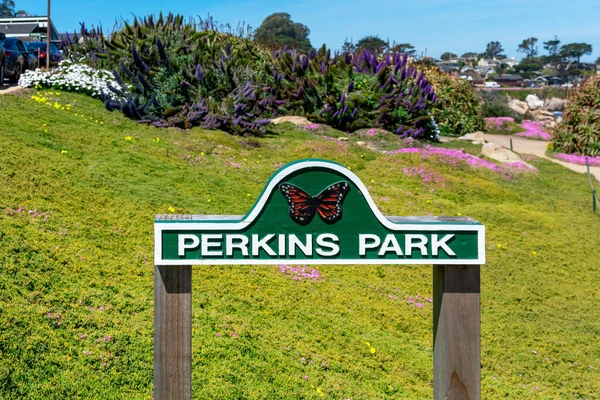Perkins Park Bord Het Strand Park Pacific Grove Californië Verenigde — Stockfoto