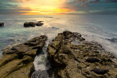 Kayalık bir sahilde gün batımı, foklar kayalarla kamufle oluyor.
