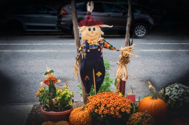 Komik ve gülen bir korkuluk, mısır, bitki ve balkabaklarıyla Bir cadde boyunca tahta bir direkte