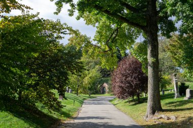 Renkli ağaç yapraklarıyla sonbahar mevsimi. Brooklyn Greenwood Mezarlığı 'nda huzurlu ve sessiz bir mezarlık.