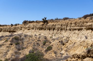 Güneşli bir yaz gününde Borrego Springs 'te çöl manzarası