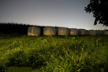 Gece tarla manzarası. Sarılı plastik saman ile yeşil ekinlerin manzarası