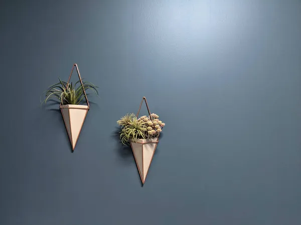 Hanging triangle shape pot with plants on a blue background wall. Home decorative plants