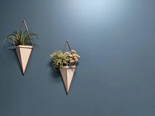 Maceta Colgante Forma Triángulo Con Plantas Una Pared Fondo Azul — Foto de Stock