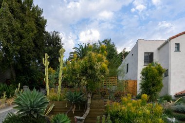 Los Angeles 'taki evlerin ön bahçelerinde palmiye ağaçları ve sulu bitkilerle peyzaj.