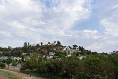 Los Angeles, Kaliforniya 'da Silver Lake' in yerleşim alanındaki ağaçlarla kaplı tepelerde evler.