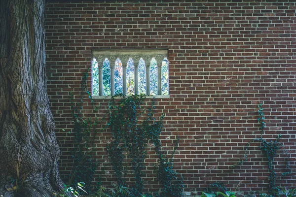 Red Brick Wall Small Arched Window Openings Climbing Vine Plant — Stock Fotó
