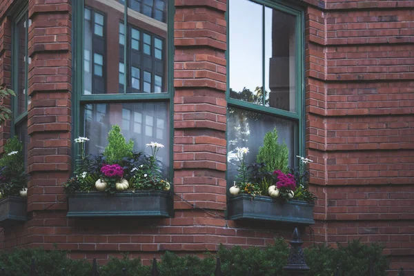 窓のあるレンガの壁に対して設定された様々な植物を持つ大きなプランター — ストック写真