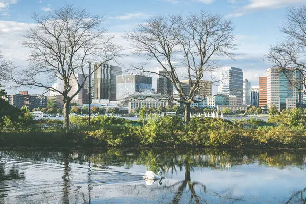 Boston 'daki Charles Nehri Kordonunda sudaki ağaçların yansıması