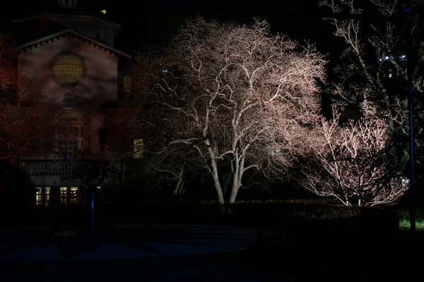 Parque Misterioso Espeluznante Con Árboles Iluminados Edificio Tema Halloween — Foto de Stock