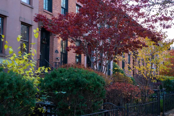 Autumn Various Colors Trees Yards Brownstones Neighborhood Brooklyn Beautiful Fall — Stock Photo, Image