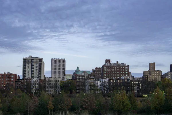 Skyline Edificios Apartamentos Brooklyn Heights Edificios Históricos Modernos Sobre Árboles —  Fotos de Stock