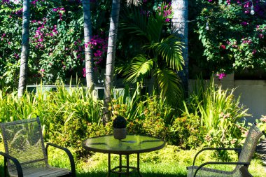 Çiçekleri, bitkileri ve ağaçları olan bir bahçe. Parktaki ya da kafedeki sandalye ve masa