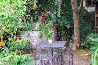 Çiçekleri, bitkileri ve ağaçları olan bir bahçe. Parktaki ya da kafedeki sandalye ve masa