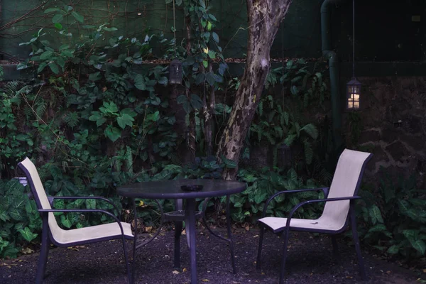 花草树木繁茂的花园 公园或咖啡馆里的椅子和桌子 — 图库照片