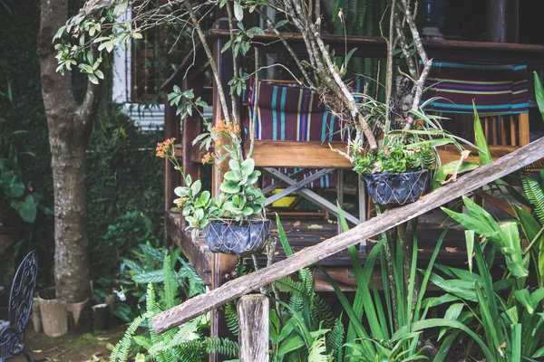 Сад Квітучими Квітами Рослинами Деревами Стільці Стіл Парку Або Кафе — стокове фото