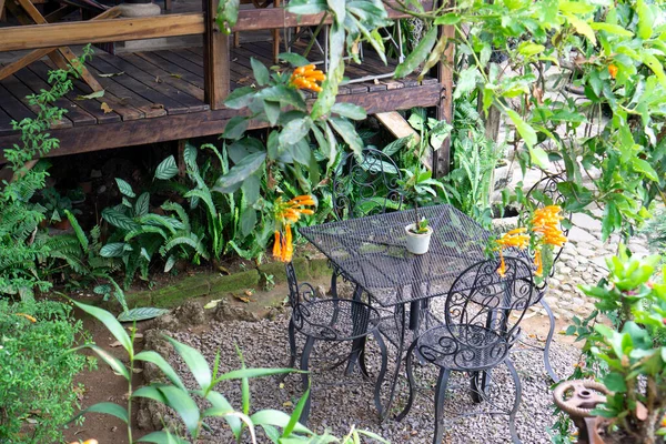 Çiçekleri, bitkileri ve ağaçları olan bir bahçe. Parktaki ya da kafedeki sandalye ve masa