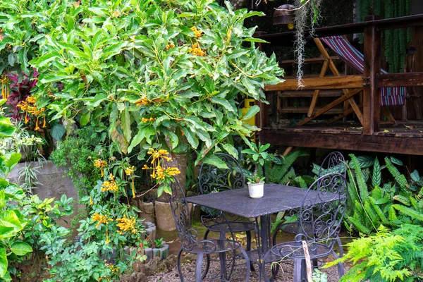 Zahrada Kvetoucími Květinami Rostlinami Stromy Židle Stůl Parku Nebo Kavárně — Stock fotografie