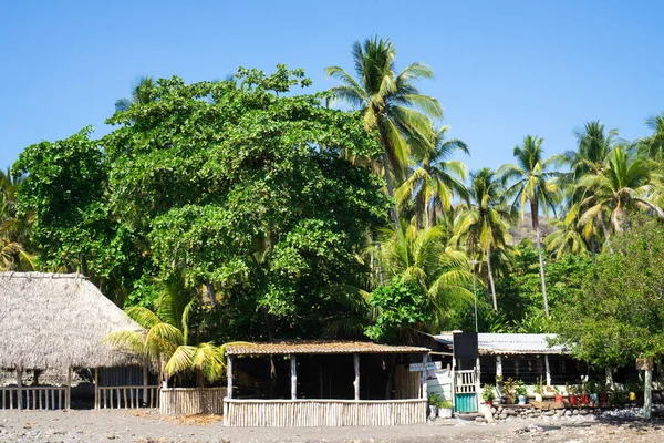 Uitzicht Toeristisch Dorp Tunco Salvador Hutten Palmbomen Aan Kust Van — Stockfoto