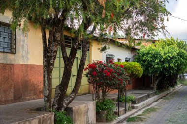 Kaldırımın kenarındaki ağaçlar ve bitkiler yol boyunca eski binaları olan bir kasabada.